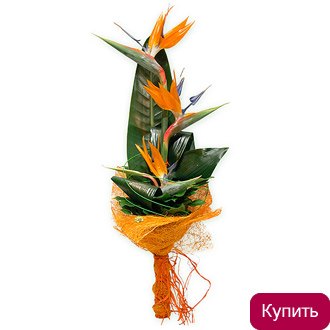 Главе семьи