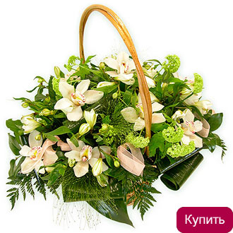 Комильфо
