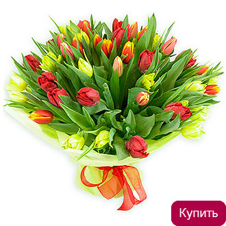 Лучи солнца