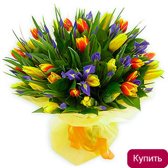 Палитра