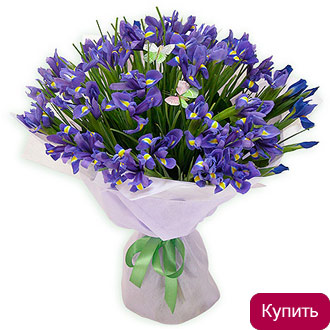 Ультрафиолет