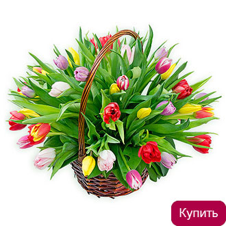Нажмите для просмотра корзины Весенняя палитра