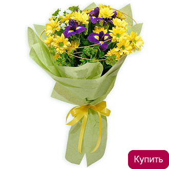 Желтые хризантемы