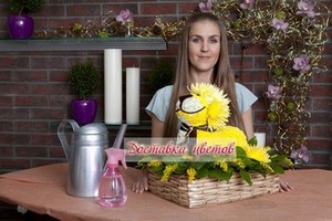 Пульверизатор с водой Пульверизатор